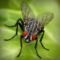 /album/ibrisnapensi/photolia-a01-jpg/