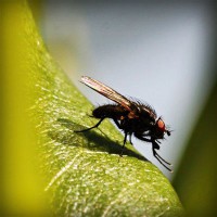 /album/ibrisnapensi/photolia-a04-jpg/