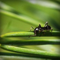 /album/ibrisnapensi/photolia-a05-jpg/