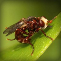 /album/ibrisnapensi/photolia-a06-jpg/