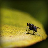 /album/ibrisnapensi/photolia-a07-jpg/